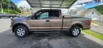 2019 BROWN /Medium Earth Gray Ford F-150 XLT (1FTEX1EB7KK) with an 3.3L V6 engine, AT transmission, located at 353 S. Mineral St., Keyser, WV, 26726, (304) 788-7887, 39.436451, -78.981674 - FOR A BETTER PRICE CALL PAUL AT 301-268-8150 - Photo#3