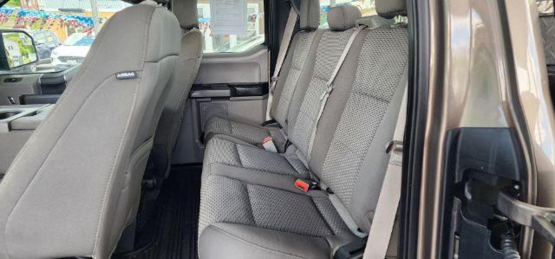 2019 BROWN /Medium Earth Gray Ford F-150 XLT (1FTEX1EB7KK) with an 3.3L V6 engine, AT transmission, located at 353 S. Mineral St., Keyser, WV, 26726, (304) 788-7887, 39.436451, -78.981674 - FOR A BETTER PRICE CALL PAUL AT 301-268-8150 - Photo#7
