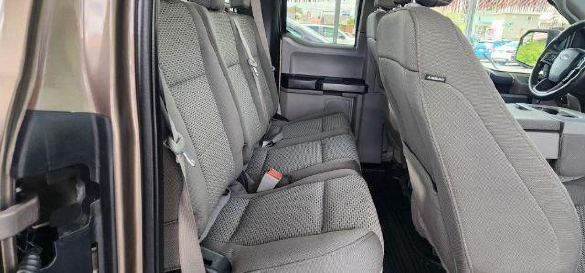 2019 BROWN /Medium Earth Gray Ford F-150 XLT (1FTEX1EB7KK) with an 3.3L V6 engine, AT transmission, located at 353 S. Mineral St., Keyser, WV, 26726, (304) 788-7887, 39.436451, -78.981674 - FOR A BETTER PRICE CALL PAUL AT 301-268-8150 - Photo#13