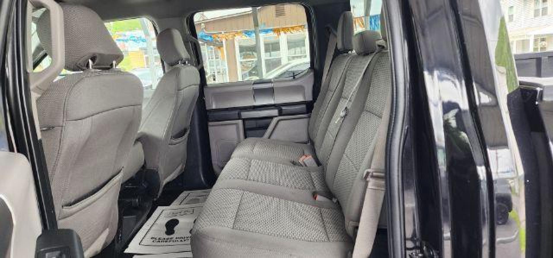 2019 BLACK /Medium Earth Gray Ford F-150 XLT (1FTFW1E59KK) with an 5.0L V8 engine, AT transmission, located at 353 S. Mineral St., Keyser, WV, 26726, (304) 788-7887, 39.436451, -78.981674- Photo#7