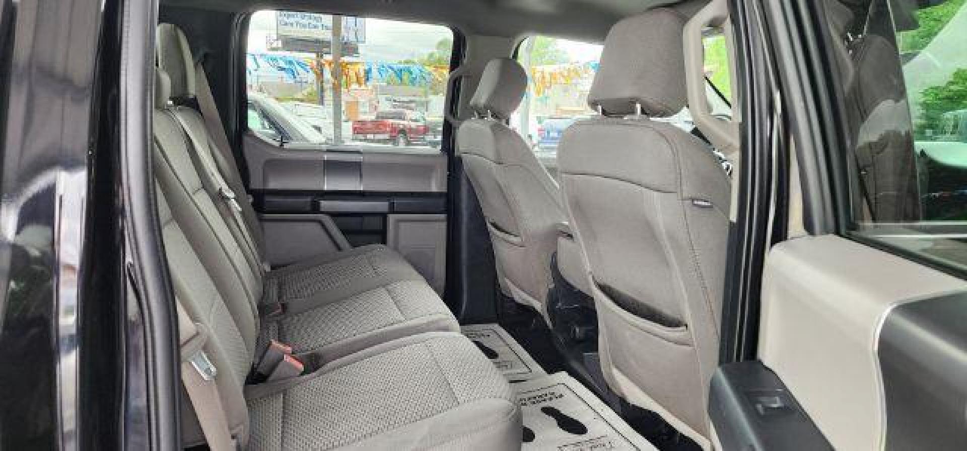 2019 BLACK /Medium Earth Gray Ford F-150 XLT (1FTFW1E59KK) with an 5.0L V8 engine, AT transmission, located at 353 S. Mineral St., Keyser, WV, 26726, (304) 788-7887, 39.436451, -78.981674- Photo#13