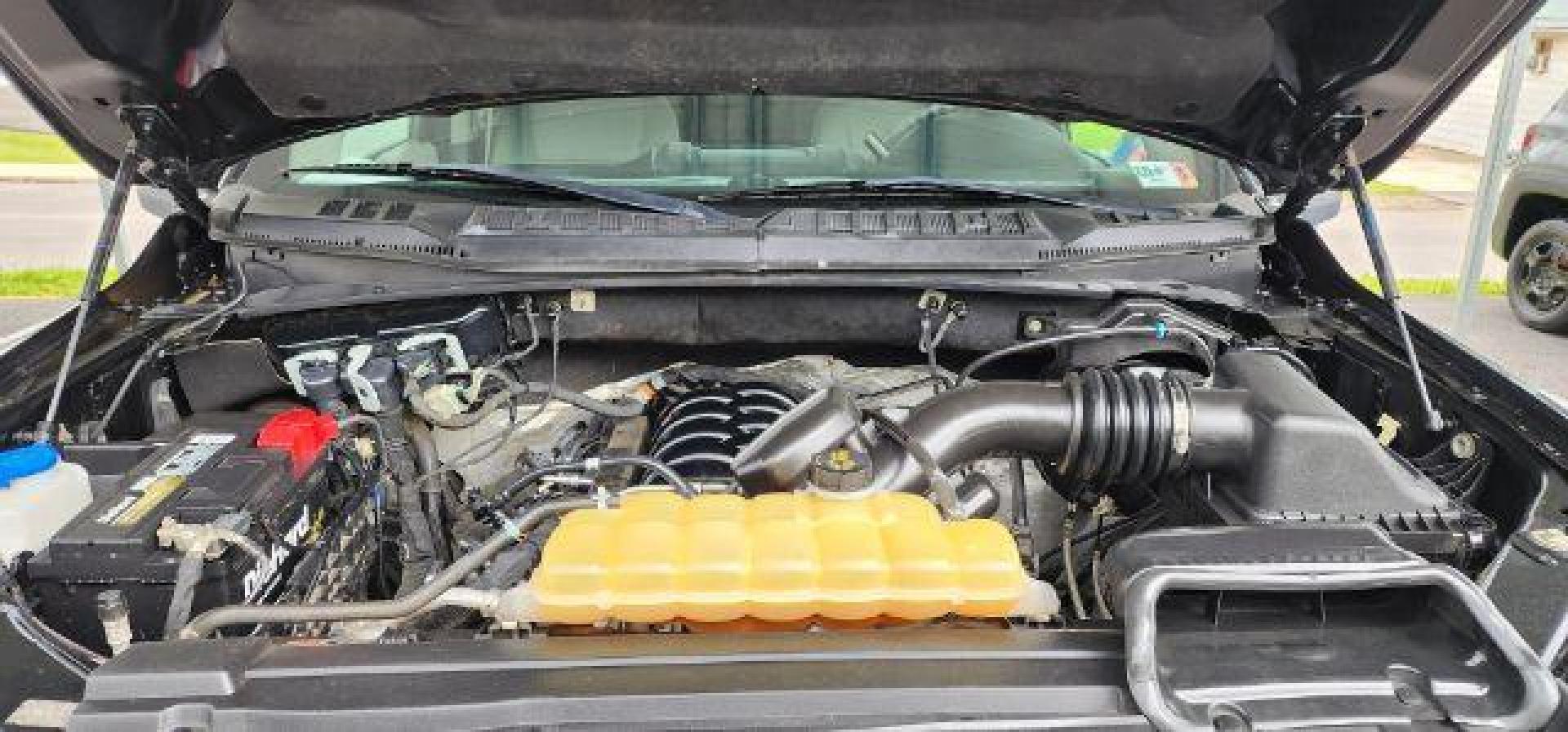 2019 BLACK /Medium Earth Gray Ford F-150 XLT (1FTFW1E59KK) with an 5.0L V8 engine, AT transmission, located at 353 S. Mineral St., Keyser, WV, 26726, (304) 788-7887, 39.436451, -78.981674- Photo#15