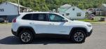 2019 WHITE /Black Jeep Cherokee Trailhawk 4x4 (1C4PJMBX4KD) with an 3.2L V6 engine, AT transmission, located at 353 S. Mineral St., Keyser, WV, 26726, (304) 788-7887, 39.436451, -78.981674- Photo#12