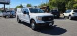 2021 WHITE /Black/Medium Dark Slate Ford F-150 XL (1FTFX1E57MK) with an 5.0L V8 engine, AT transmission, located at 353 S. Mineral St., Keyser, WV, 26726, (304) 788-7887, 39.436451, -78.981674- Photo#0