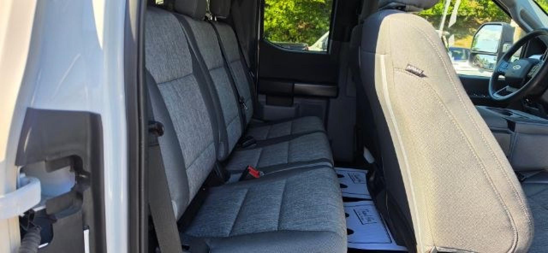 2021 WHITE /Black/Medium Dark Slate Ford F-150 XL (1FTFX1E57MK) with an 5.0L V8 engine, AT transmission, located at 353 S. Mineral St., Keyser, WV, 26726, (304) 788-7887, 39.436451, -78.981674- Photo#14
