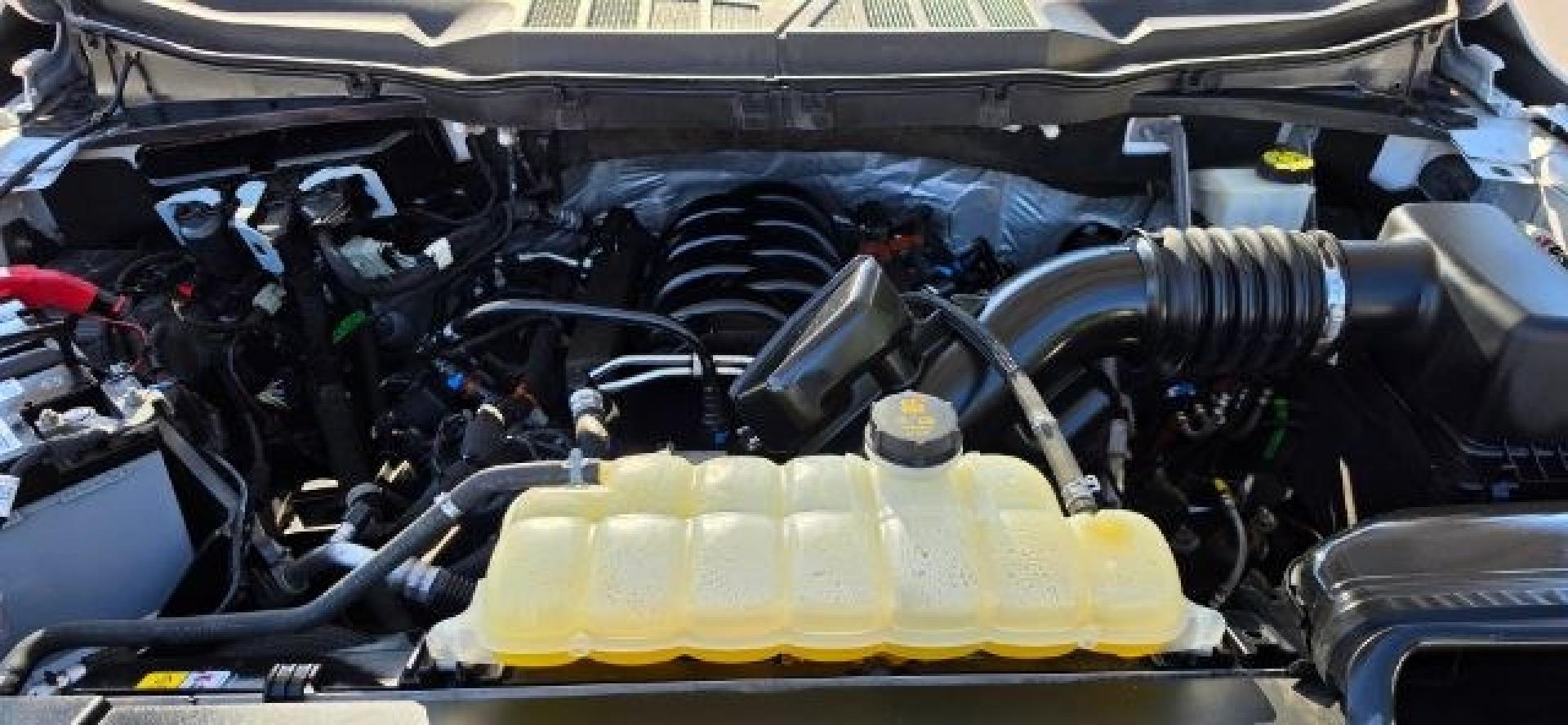 2021 WHITE /Black/Medium Dark Slate Ford F-150 XL (1FTFX1E57MK) with an 5.0L V8 engine, AT transmission, located at 353 S. Mineral St., Keyser, WV, 26726, (304) 788-7887, 39.436451, -78.981674- Photo#16