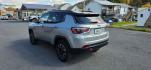 2021 SILVER /Ruby Red/Black Jeep Compass Trailhawk 4x4 (3C4NJDDB1MT) with an 2.4L L4 engine, AT transmission, located at 353 S. Mineral St., Keyser, WV, 26726, (304) 788-7887, 39.436451, -78.981674- Photo#8